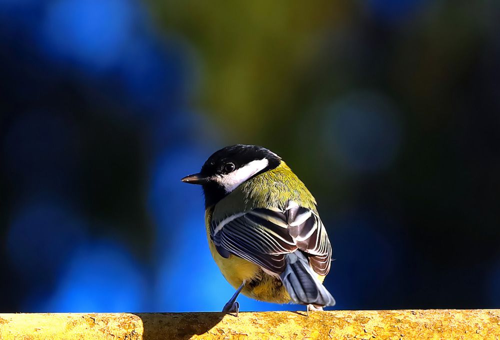 Photograph by Татьяна Слесарева