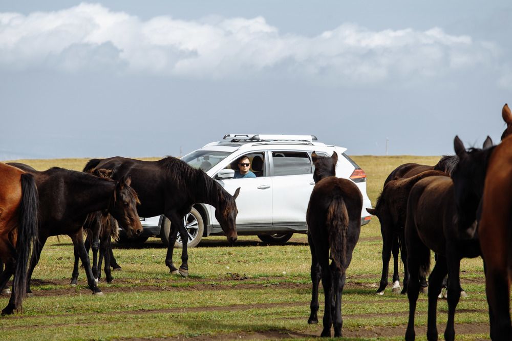 Photograph by Ольга Владимировна