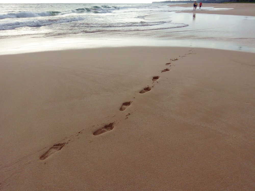 Photograph by Сироткина Нина