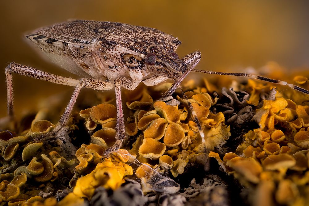 Photograph by Юрий Яковлевич