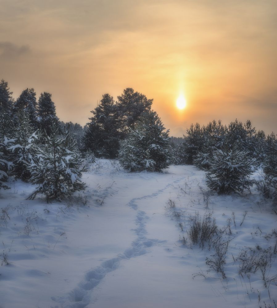 Photograph by  Михаил