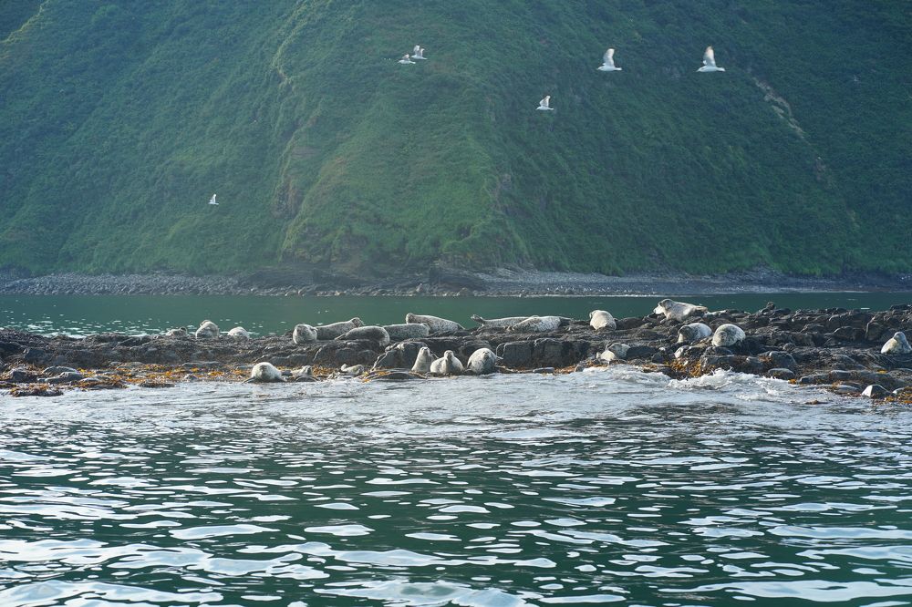 Photograph by Анна Воронова