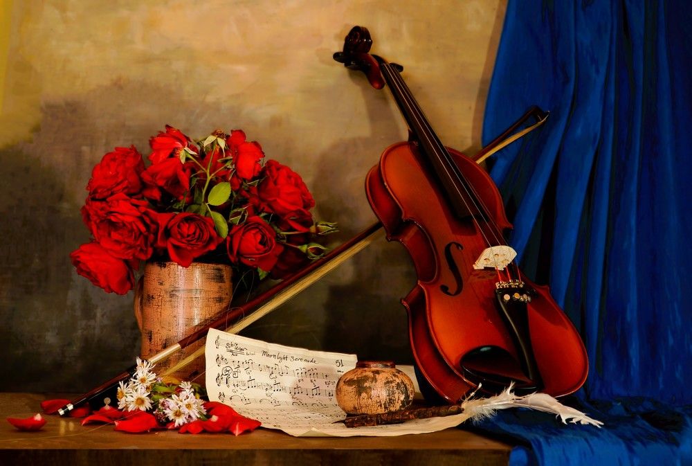 Фотография автора hilmi ayhan