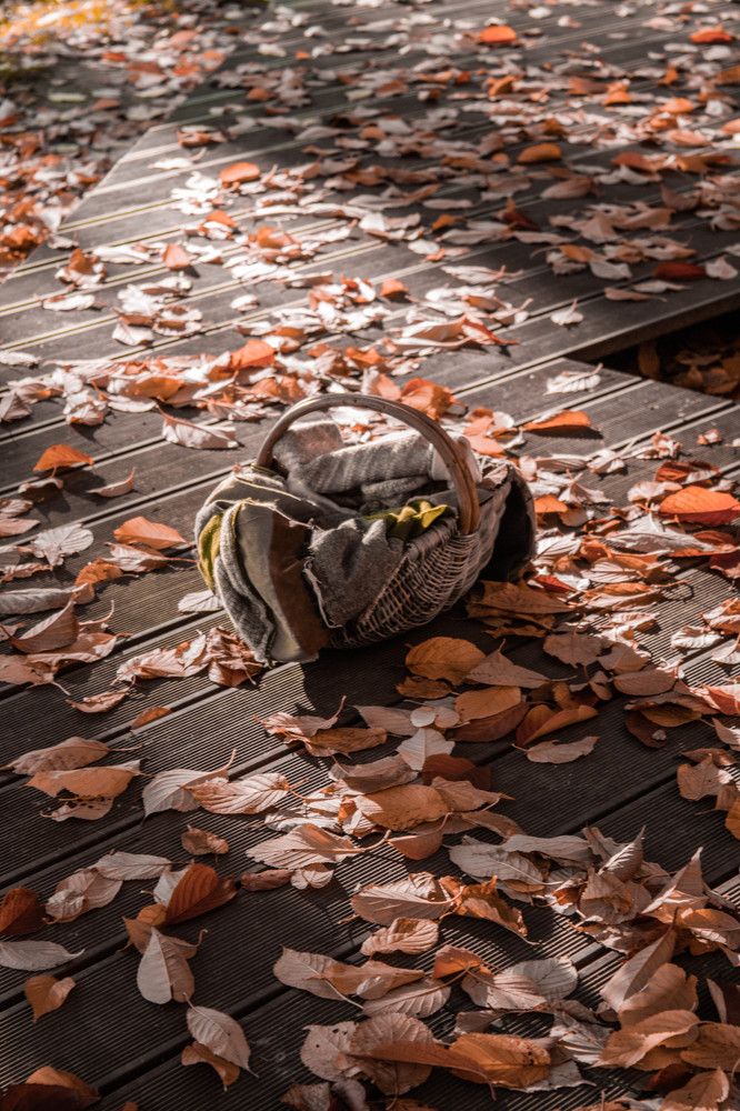 Photograph by Ная Кактус