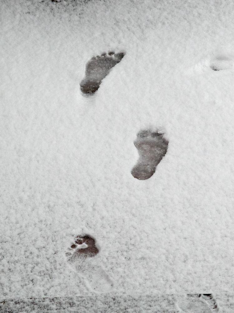 Photograph by Руслан Гончар