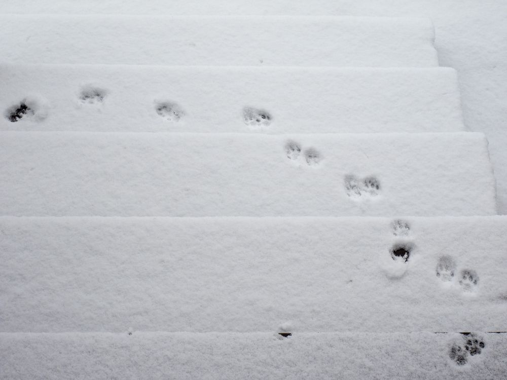 Photograph by Руслан Гончар