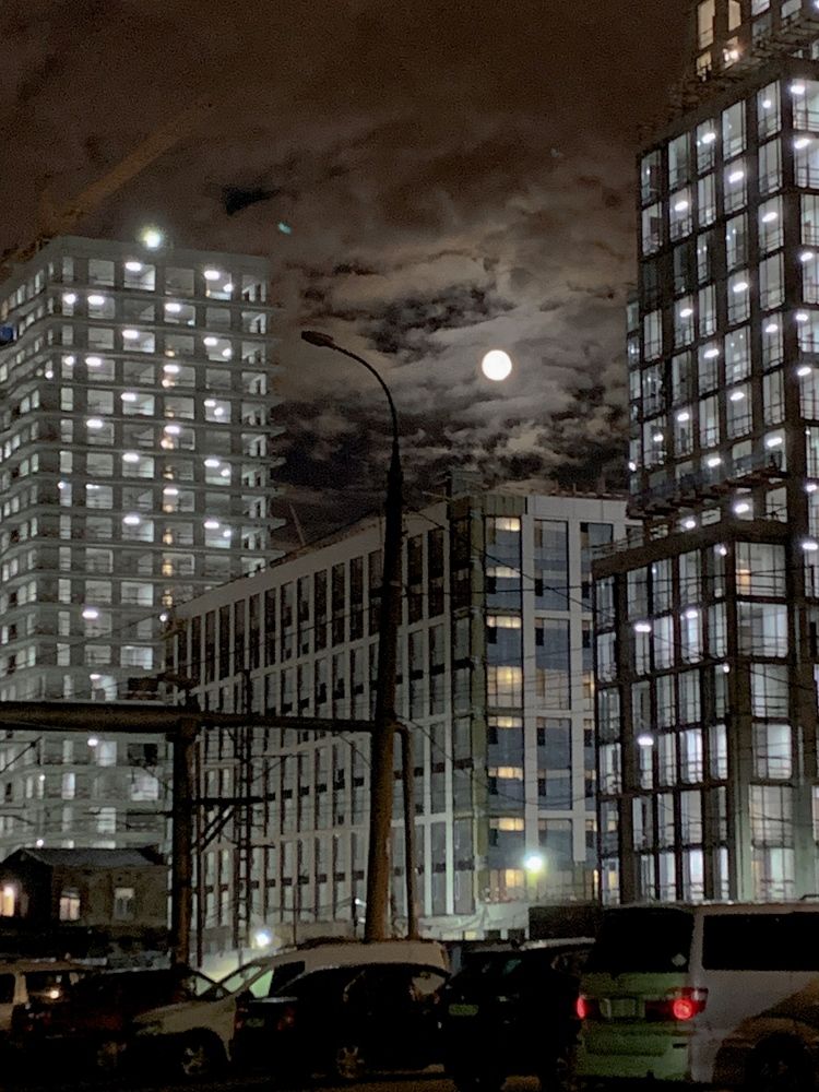 Photograph by Кондакова Юлия Григорьевна