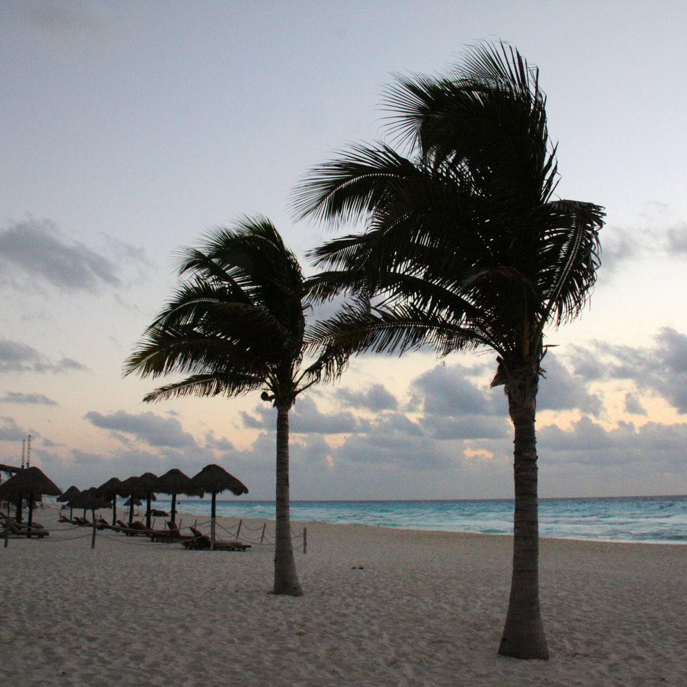 Photograph by Ионова Татьяна