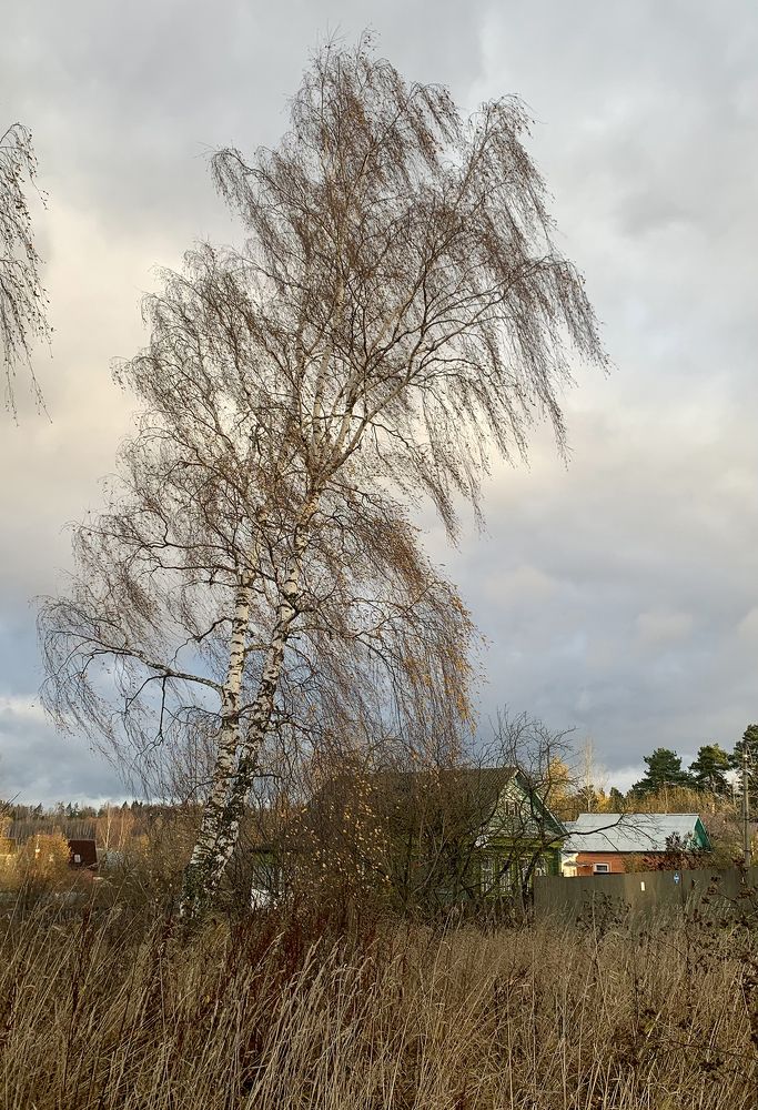 Photograph by Ионова Татьяна