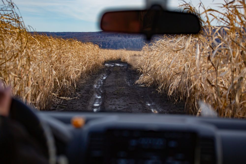Фотография автора Дмитрий Новиков