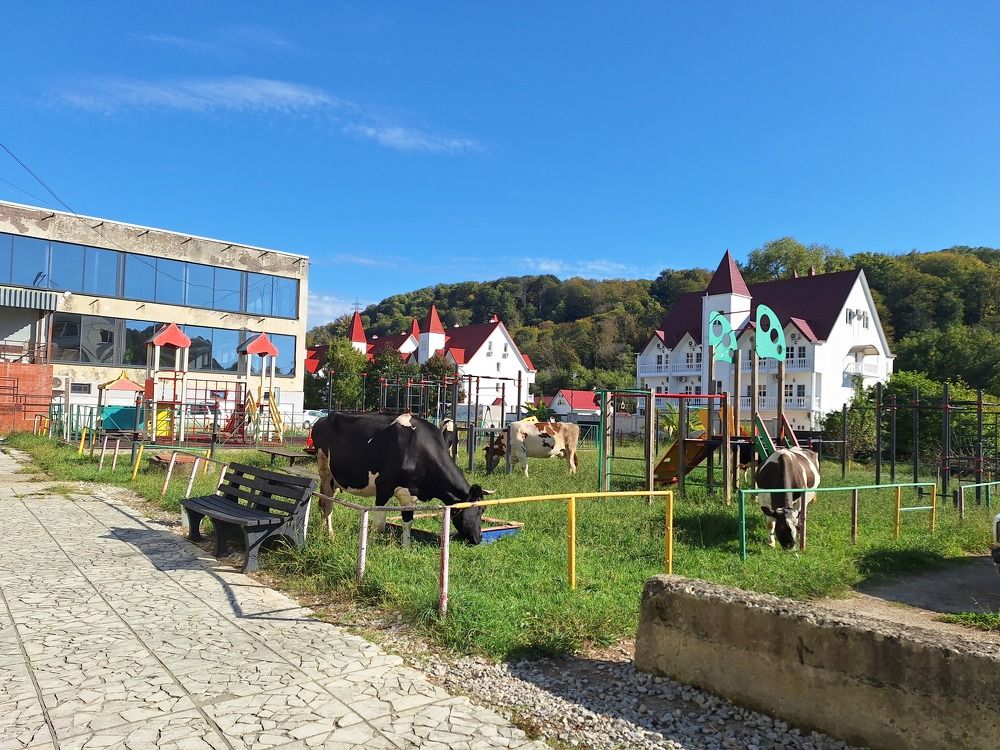 Photograph by Игорь Чечин