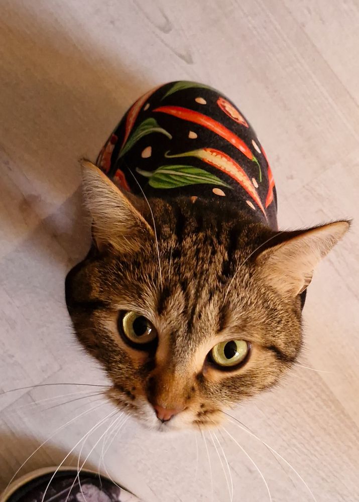 Photograph by Игорь Чечин