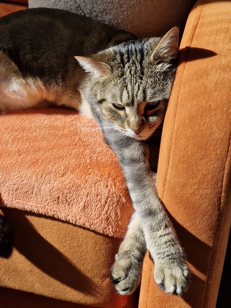 Photograph by Игорь Чечин