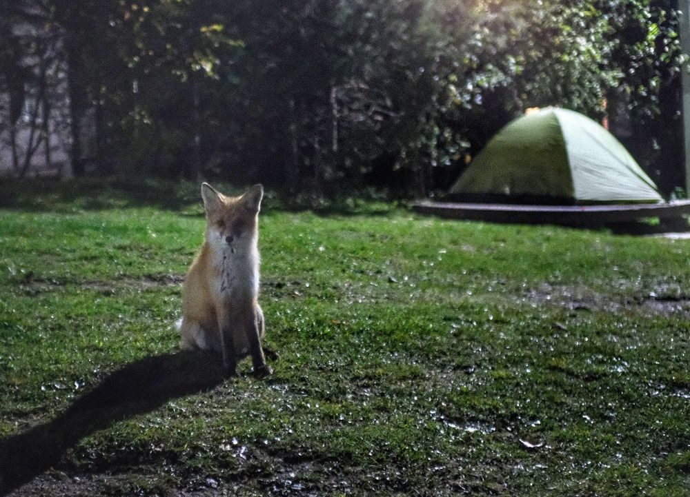 Photograph by Антон Е