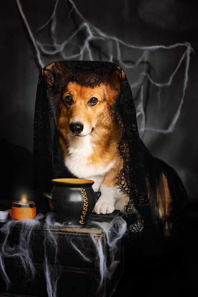 Photograph by Валерия Дурнева