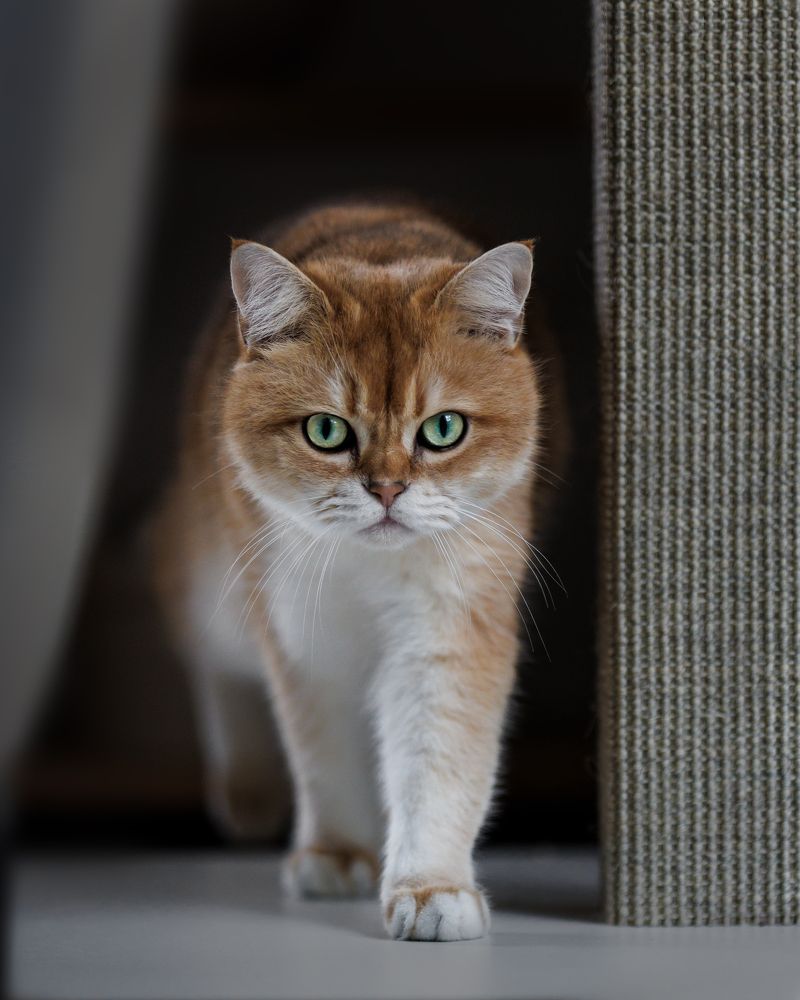 Photograph by Louisa85