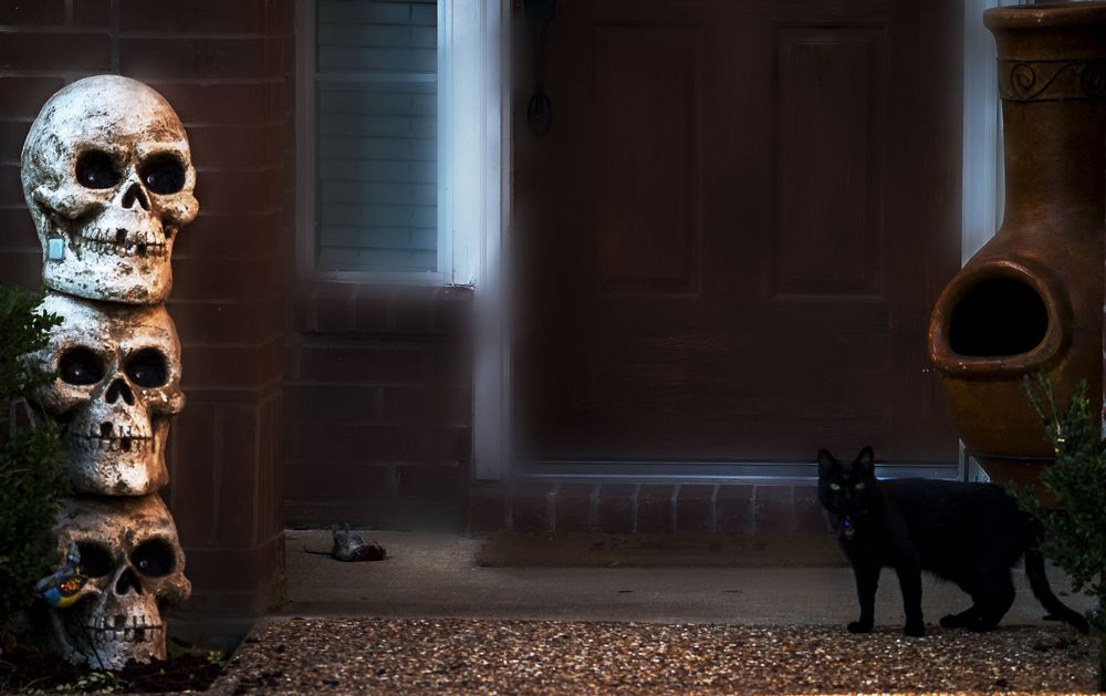 Photograph by Владислав Айзенберг