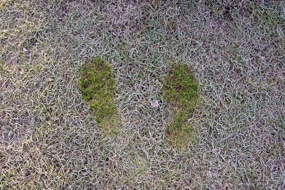 Photograph by Евгений