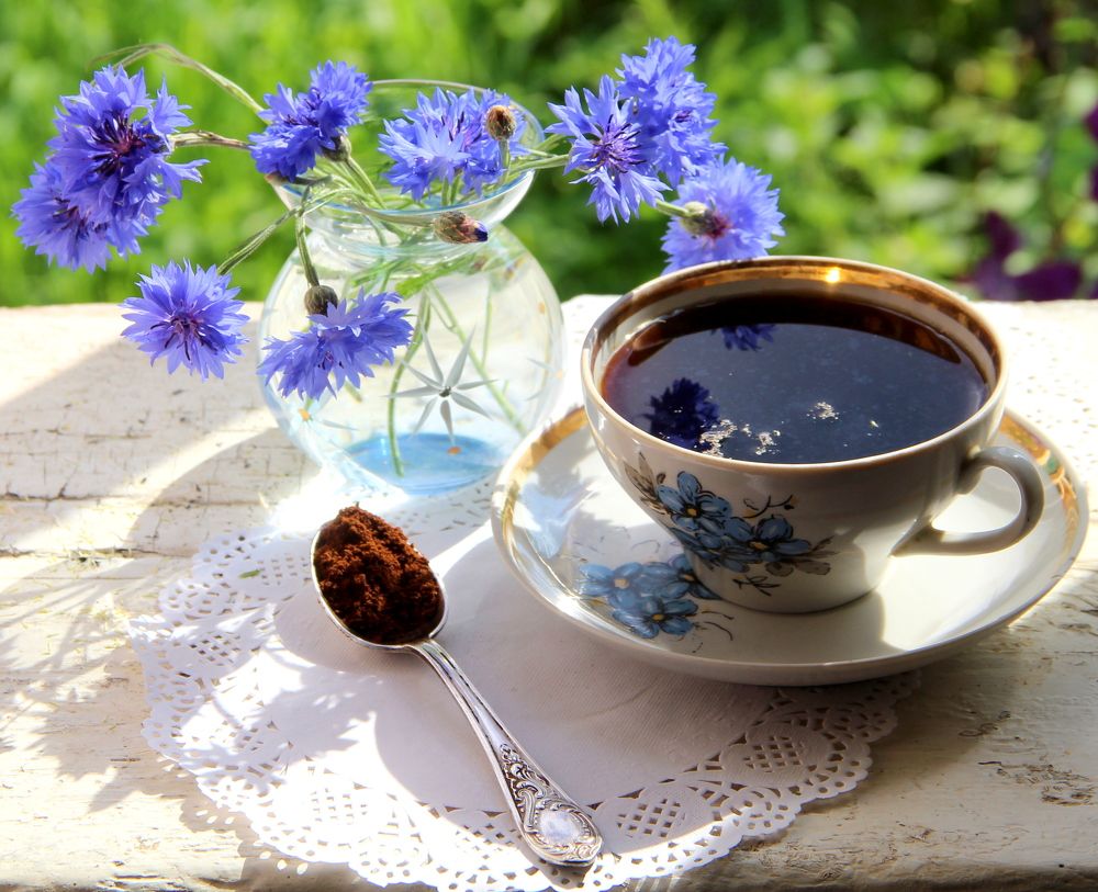 Photograph by Жанна Нечаева