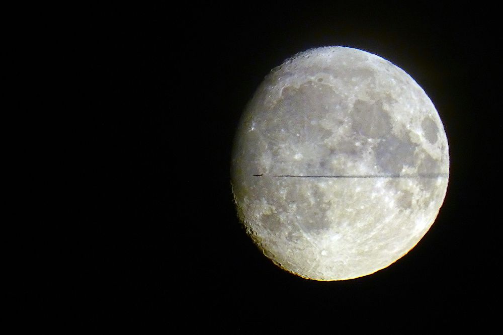 Разрезанная пополам...