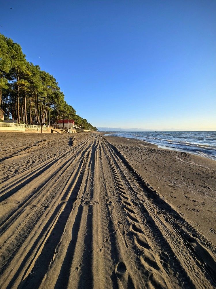 Фотография автора Ольга Костенко