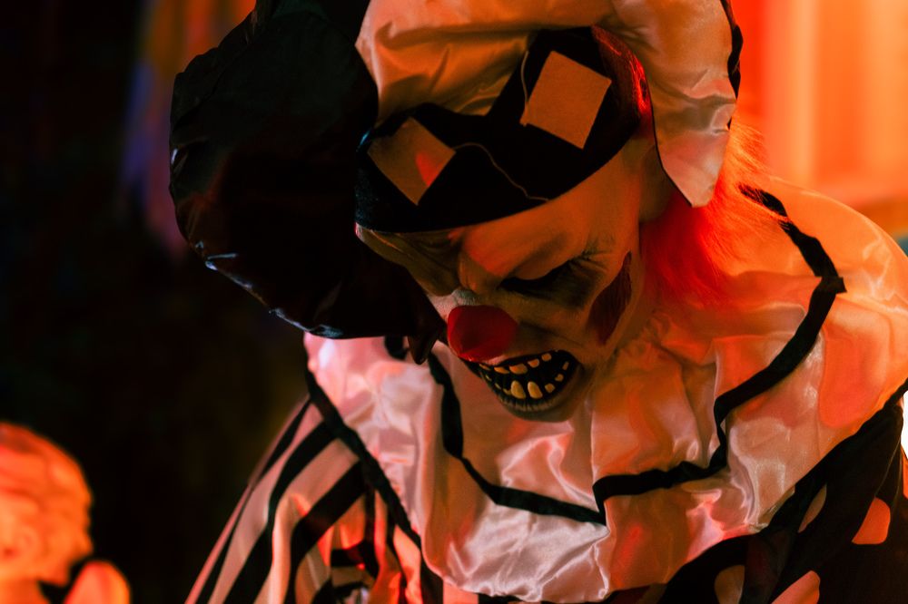 Photograph by Anna Cherkasova