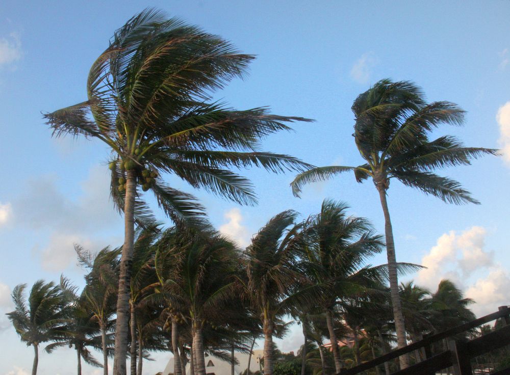 Photograph by Ионова Татьяна