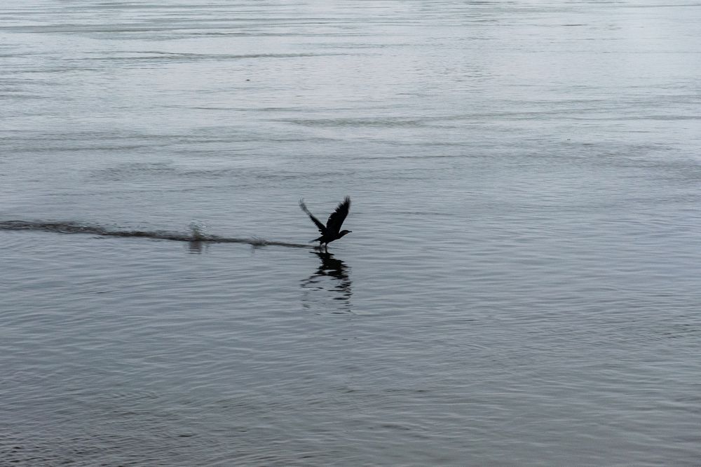 Photograph by Виктория Федосеенко