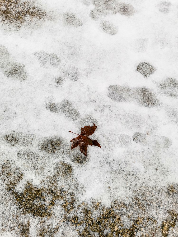 Photograph by Виктория Федосеенко