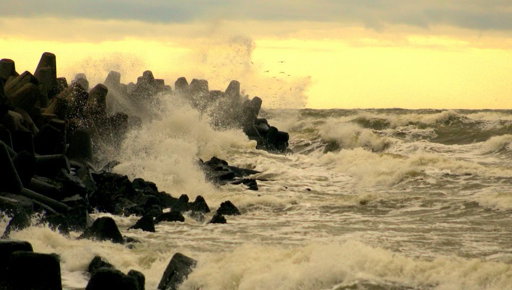 Photograph by Алексей Макаров