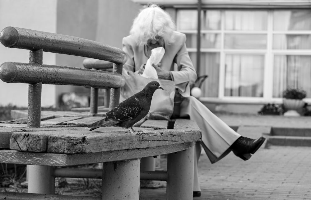 Фотография автора Галина