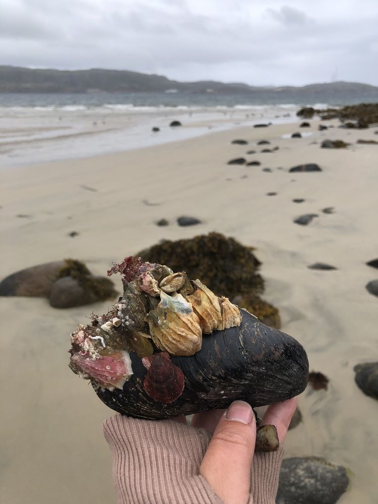 Photograph by Олеся Семёнова