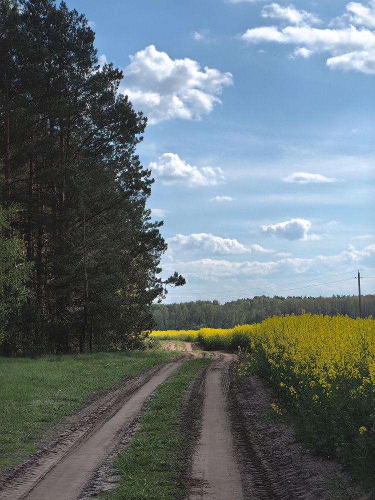 Фотография автора Ольга Панасюк