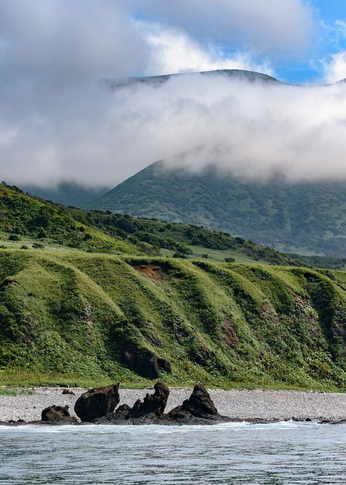 Фотография автора Мария Рохмистрова