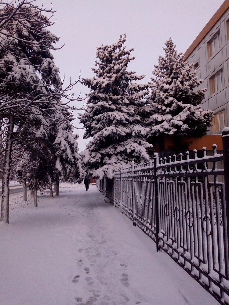 Photograph by Татьяна Пальчикова