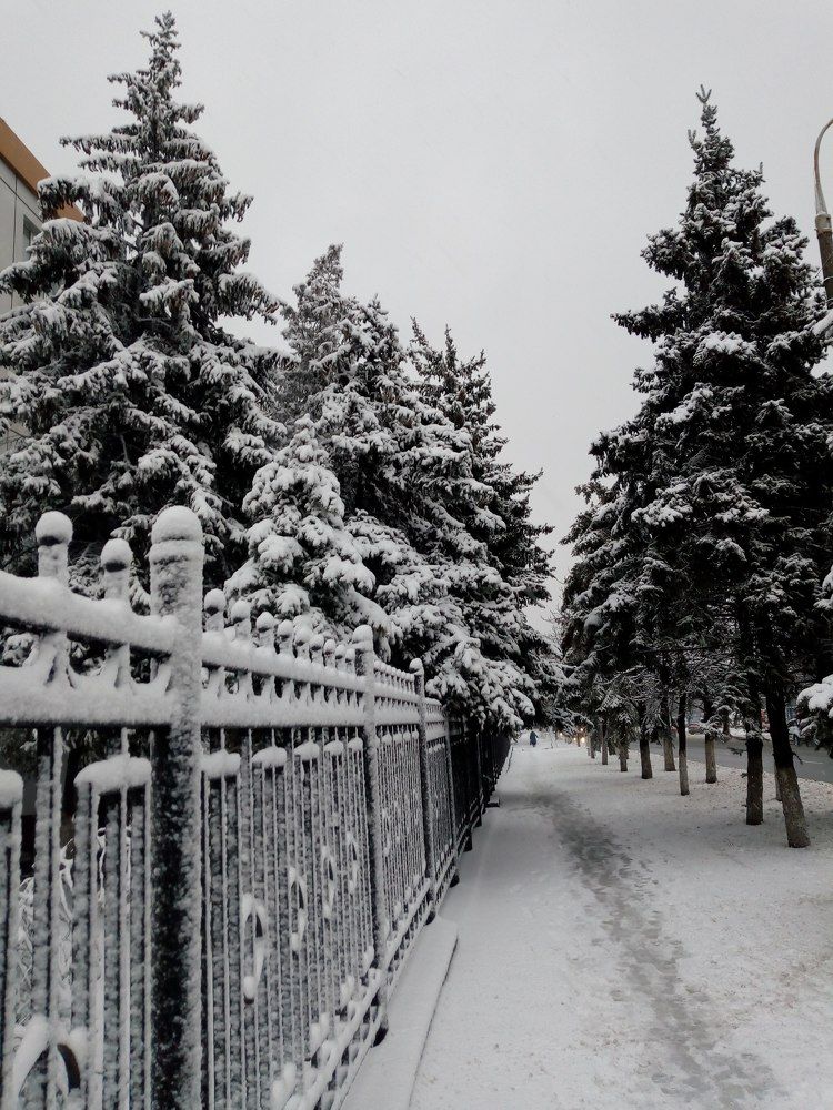 Photograph by Татьяна Пальчикова