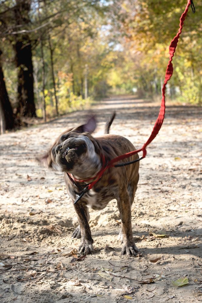 Фотография автора Ирина Сафонова