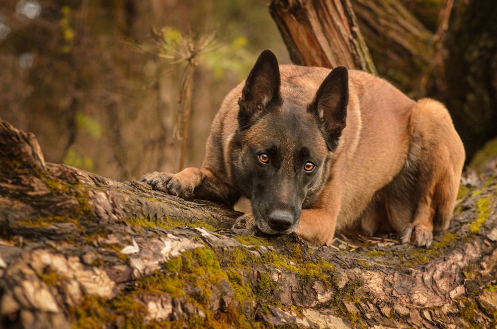 Скучающая по летним дням