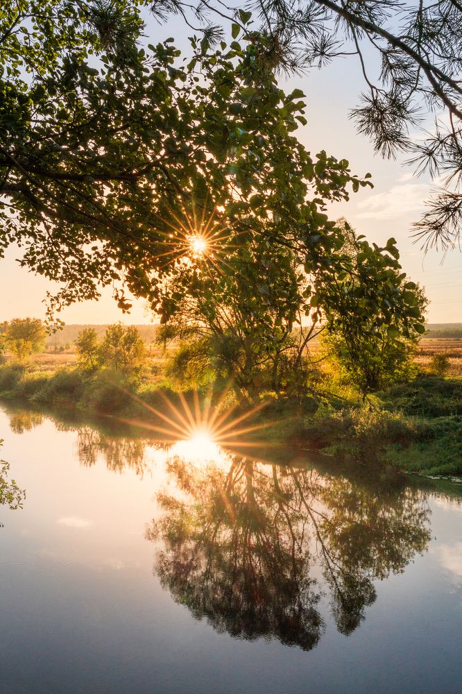 Photograph by Алена Устинович