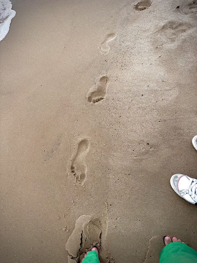 Photograph by Наумова Татьяна