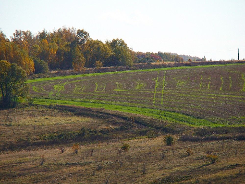 Photograph by Zakharov Matvey