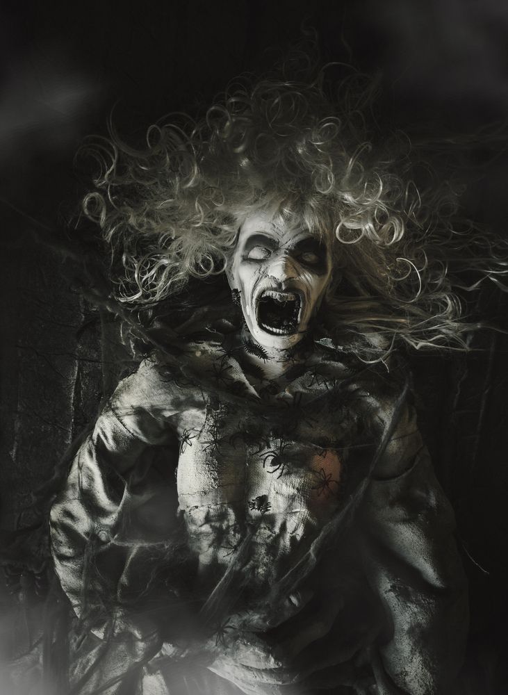 Photograph by Vitaliy