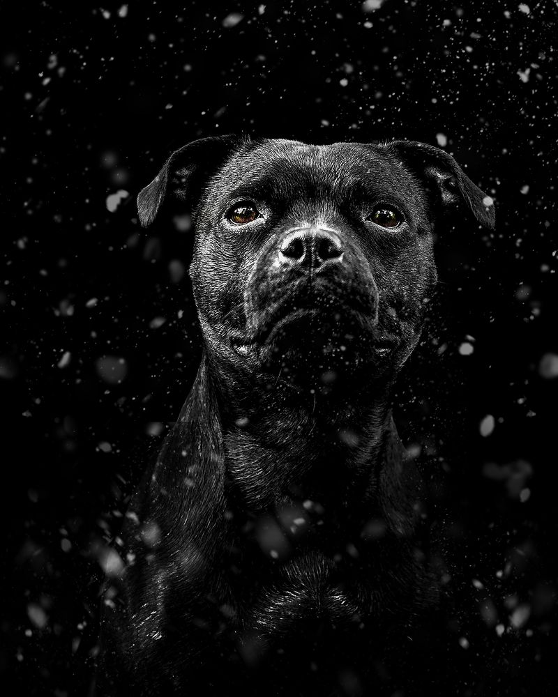 Photograph by Lucie Nermuťová