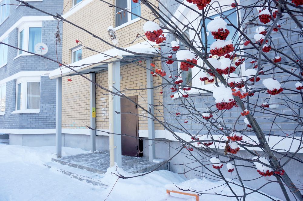 Photograph by Александр Райсон