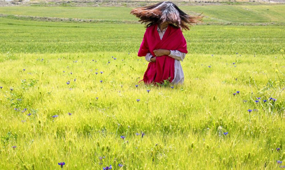 Фотография автора Ghadir Vaghari