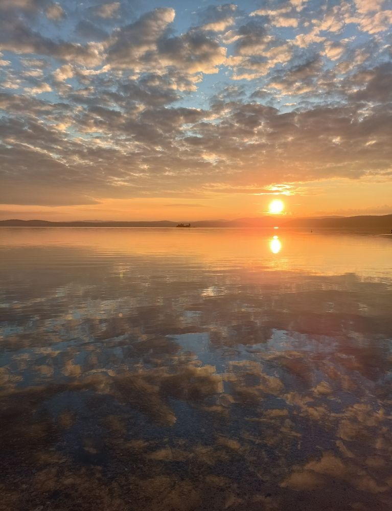 Photo #11273553