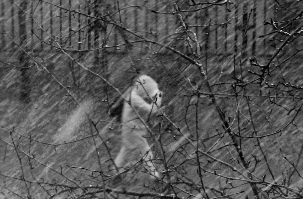 Photograph by Жанна Нечаева