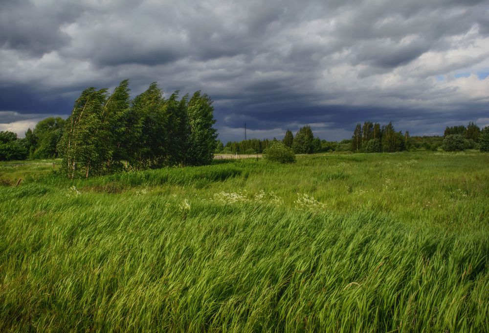 Перед грозой.