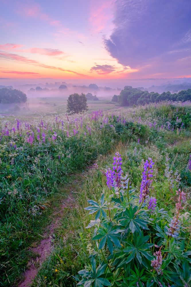Photograph by Александр Корженков