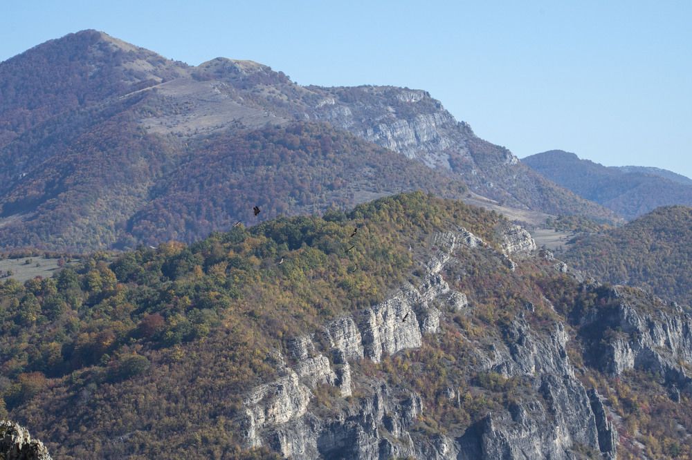 Photograph by Nikolay Dimitrov